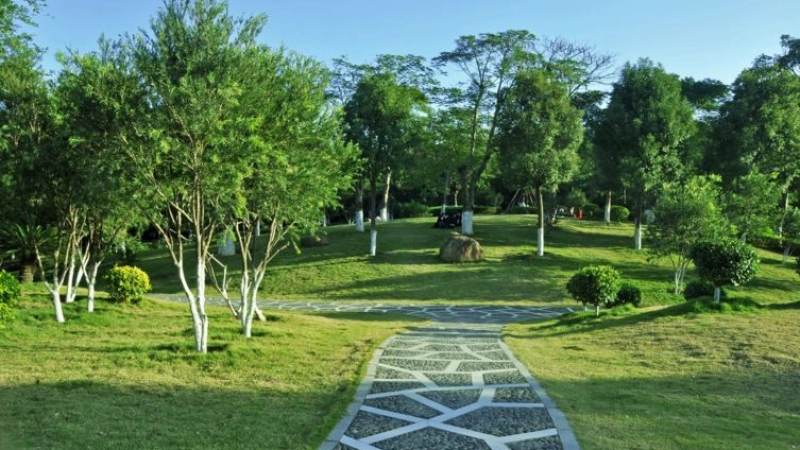 2026lol全球总决赛版本环境追踪服务配图